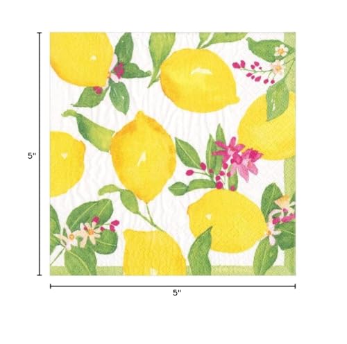 Caspari Limoncello Paper Cocktail Napkins - Eco-Friendly, 20 Pack (Variation 1)