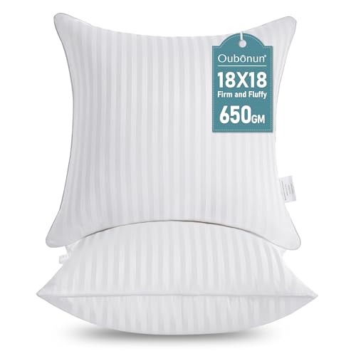 Oubonun 18x18 Throw Pillow Inserts Set of 2 - Fluffy Down Alternative Cushions