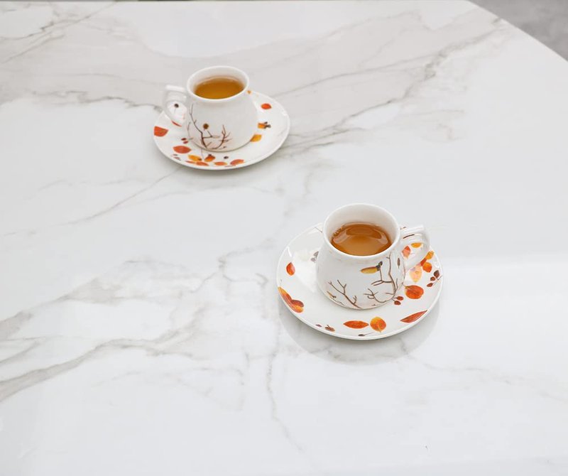 GuangYang 2.5 oz Espresso Cups and Saucers set of 6,Fall Design (Cute Shape for Double Espresso Shots, Ristretto, Macchiato,Café Cubano, and Turkish Coffee)