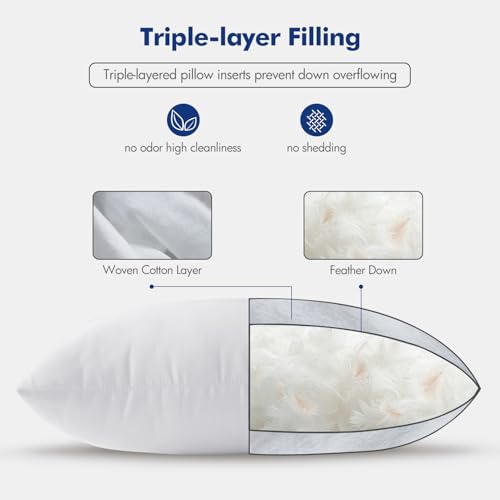 MIULEE 26x26 Euro Pillow Inserts Set of 2 - Feather Down Throw Pillows