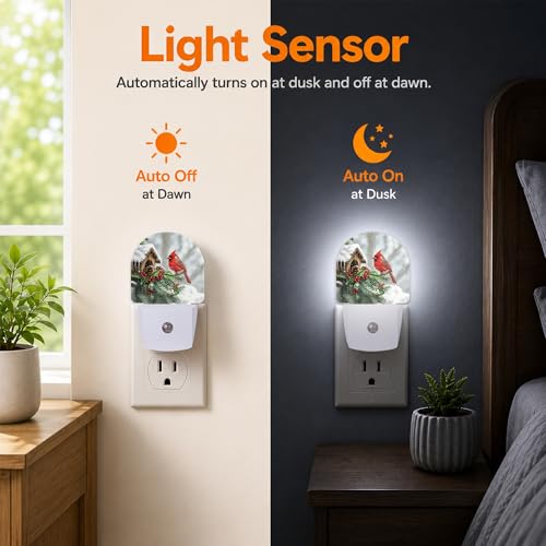Axxitude Cardinal Christmas Night Light with Dusk to Dawn Sensor, Plug-In Bedroom & Home Decor