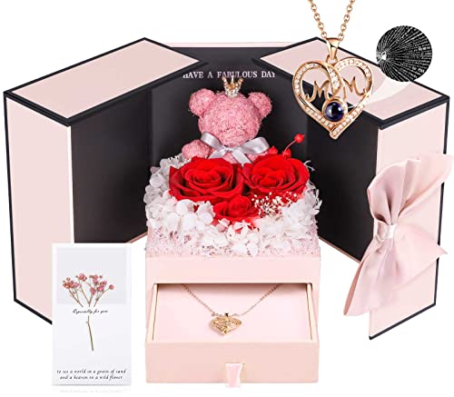 Preserved Real Rose Gift Set with I Love You Projection Necklace for Mom