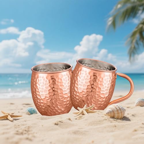 Moscow Mule Copper Mugs Set of 4, 17oz Stainless Steel Lined Cups