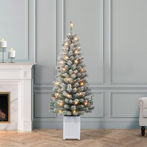 Set of 2 5ft Pre-Lit Flocked Western Spruce Christmas Trees, 169 Tips, 70 Lights