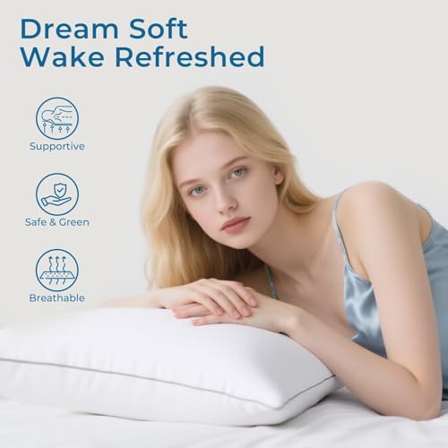 Sasttie Queen Size Bed Pillows Set of 2 - Down Alternative Hotel Quality