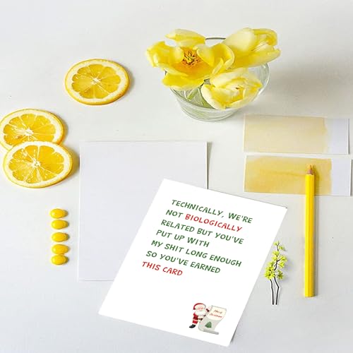 Funny Step Dad Christmas Card for Stepfather - Joke Holiday Greeting Card for Step Dad - You’ve Put Up With My Shit - For Step Dad