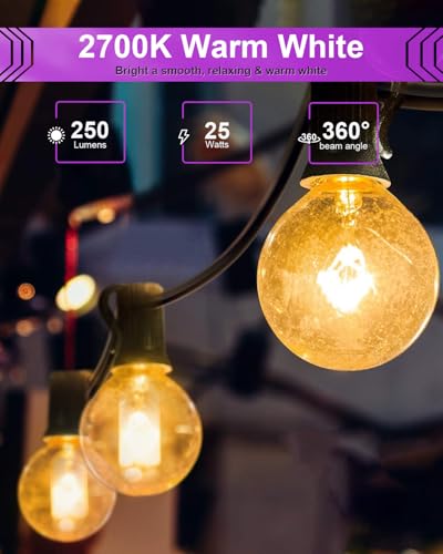 25 Watt Wax Warmer Light Bulbs - G16.5 Globe for Candle Warmers, 6 Pack