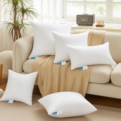 Oubonun 18x18 Throw Pillow Inserts - Soft Down Alternative Fillers, Pack of 2