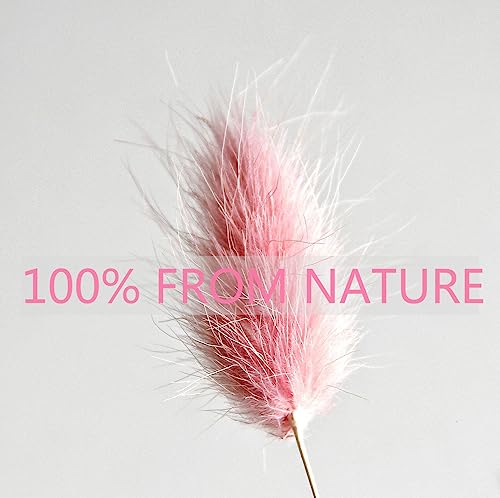 120 PCS Pink Dried Pampas Grass Decor, 17-Inch Natural Floral Bouquet