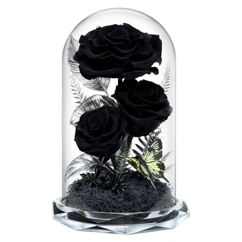 Preserved Black Roses in Glass Dome - Eternal Real Flowers for Home Decor