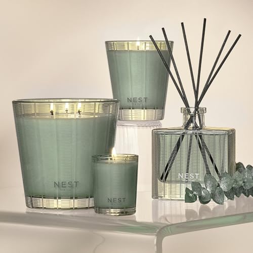 Wild Mint & Eucalyptus Reed Diffuser Liquid Refill - 5.9 fl oz