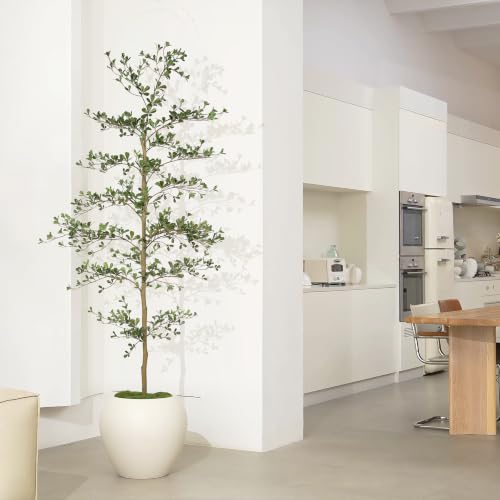 7ft Black Olive Tree | Realistic Faux Shady Lady Decor for Home
