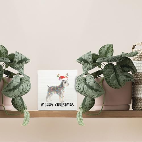 OVAcational Schnauzer Merry Christmas Wooden Sign - Dog Decor for Home & Office