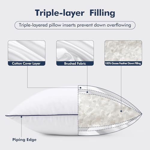 20x20 Goose Feather Down Pillow Inserts - Set of 2, Soft Cotton Cover