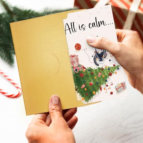 Oamiolek Funny Cat Christmas Card - Holiday Greeting for Cat Lovers, All Is Calm All Is Bright - Cat Variation