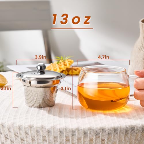 PARACITY 13 oz Glass Tea Mug with Infuser & Lid - Stovetop Safe, Fine Mesh Filter