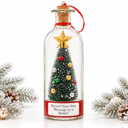 CRILEAL Blue Recordable Christmas Tree Ornament with Snow Scene, 25-Second Voice Message