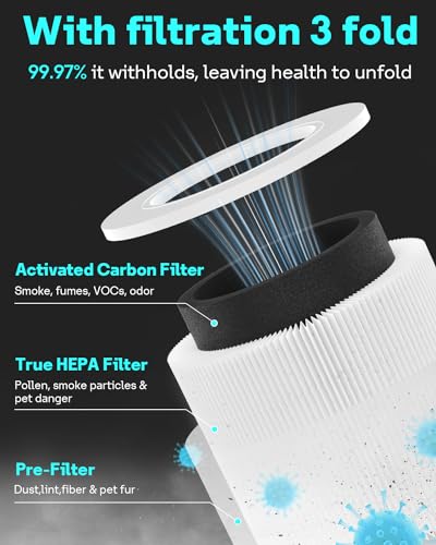 Mini Replacement Filter 2-Pack with True HEPA and Activated Carbon