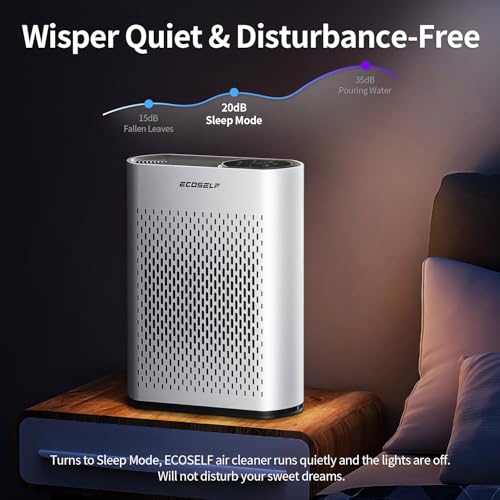 Large Room Air Purifier with True HEPA Filter and Air Quality Display