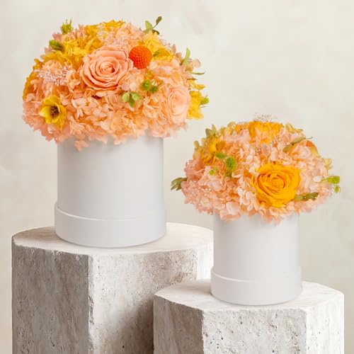 ROSEROSE Preserved Champagne Flowers Bouquet Small Gift Box for Women