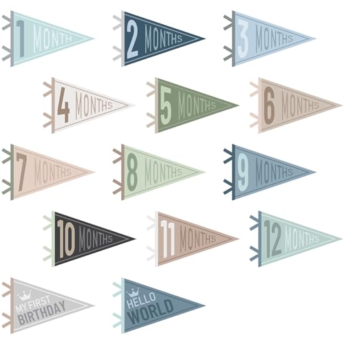 14 Pcs Baby Monthly Milestone Pennant Banner - Felt Photo Prop for Birthdays