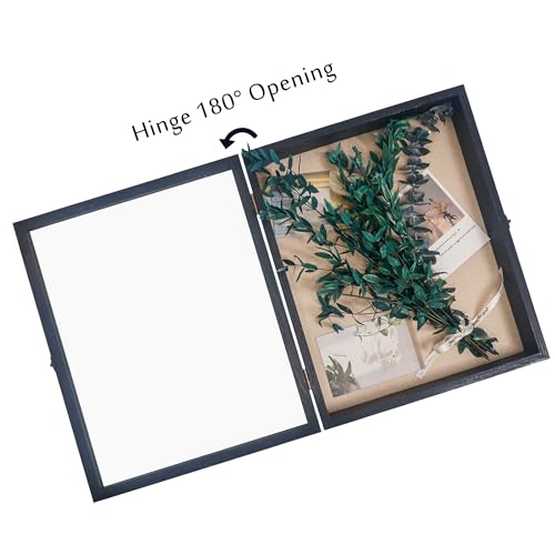 13x16 Graduation Shadow Box Frame with Glass Window and Linen Backing