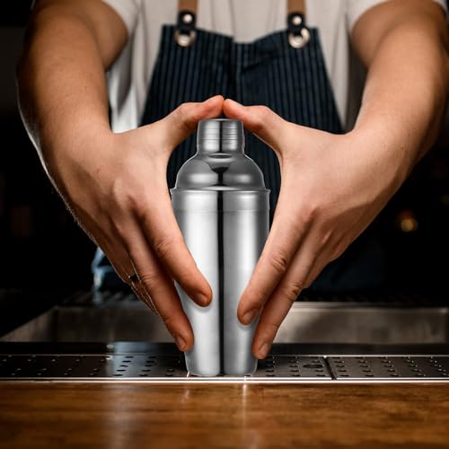Silver 6-Piece Stainless Steel Cocktail Shaker Set 18.6 oz for Home & Bar