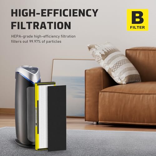 H13 True HEPA Replacement Filter Set with Activated Carbon Pre-Filters