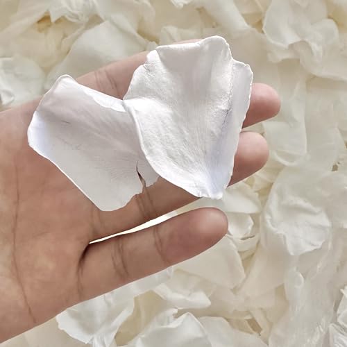 Real Freeze-Dried White Rose Petals for Wedding Decor and Toss - 180+ PCS