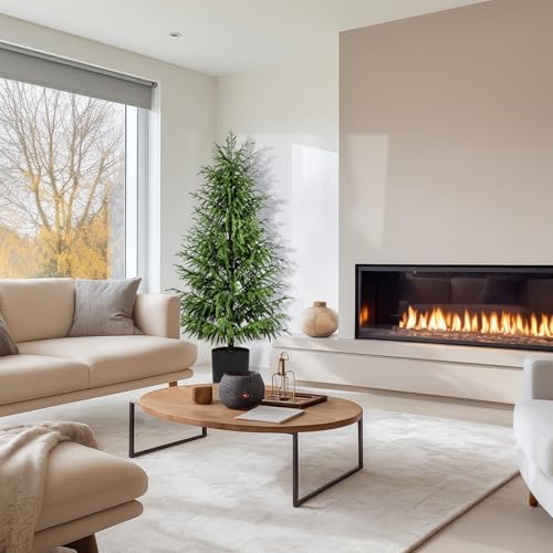 ENVEN 5FT Artificial Norfolk Pine Christmas Tree - 2 Pack, Unlit, Real-Touch PE, Pet & Family Friendly, Black Pot, Indoor Outdoor Decor