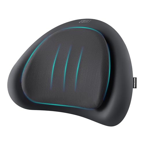 Memory Foam Lumbar Support Pillow for Back Pain Relief