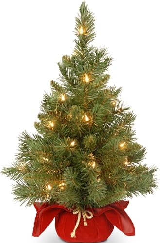 24-Inch Pre-Lit Mini Fir Christmas Tree with 35 Clear Lights & Red Base