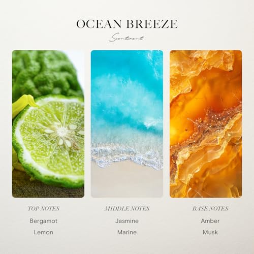 Ocean Breeze Fragrance Oil for Diffuser - 500ml Hotel Scent Refill
