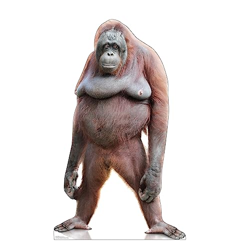 Cardboard People Orangutan Life-Size Cardboard Cutout for Events & Decor