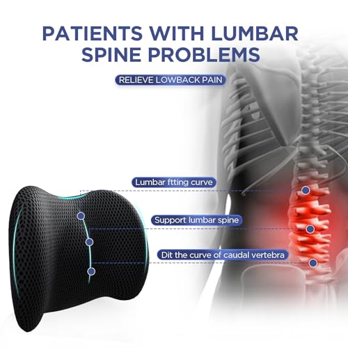 Ergonomic Lumbar Support Pillow with Memory Foam & 4D Mesh Cover