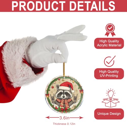 ROCI Racoon Rock 3 Acrylic Animal Wildlife Hanging Christmas Ornament
