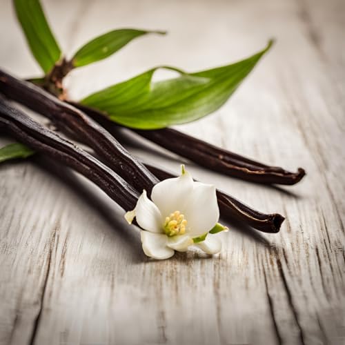 Vanilla Bean Scented Soy Wax Candle - Hand-Poured Long-Burning (7 oz)