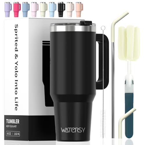 40 oz Insulated Stainless Steel Tumbler with Handle, Lid, and Straw - Black
