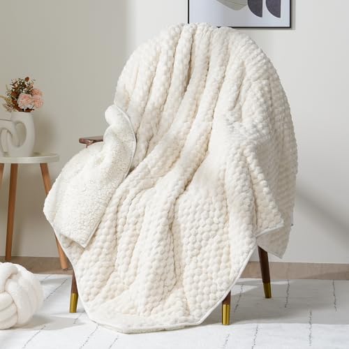 Weighted Blanket for Adults 15lbs, 60x80 Inch Sherpa Fleece Throw Blanket