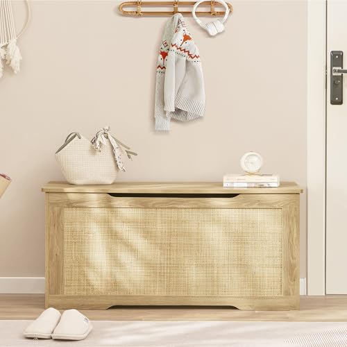 39-inch Storage Chest with Safety Hinges, Toy Box & Entryway Shoe Bench