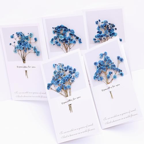 30 PCS Sapphire Blue Dried Pressed Baby's Breath Flowers with Tweezers