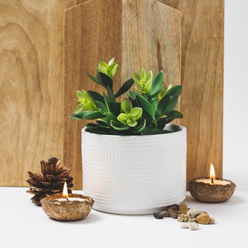 Artificial Succulent in White Ceramic Pot, 7.5-Inch Faux Plant Decor