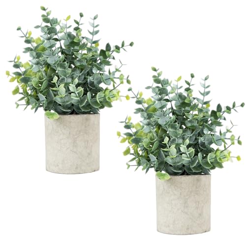 Small Artificial Eucalyptus Plants in Pots - Set of 2 Sage Green Decor