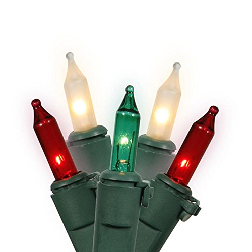 Vickerman NorthLight Red, Clear Frosted & Green Mini Christmas Lights 100