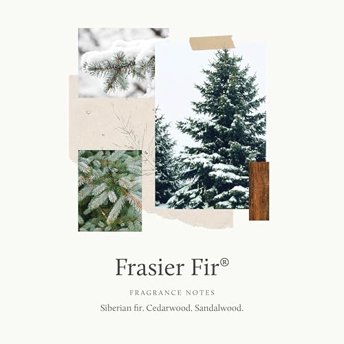 Frasier Fir Home Fragrance Mist - Pine Scented Room Air Freshener Spray 3 oz