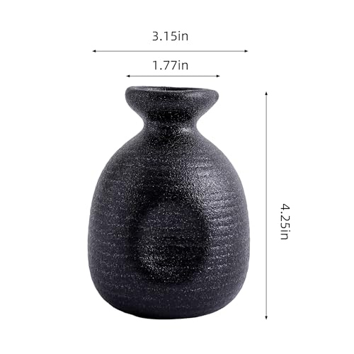 Matte Black Ceramic Japanese Sake Set with Bottle & Cups - DealbyBox