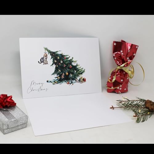Set of 3 Christmas Advent Calendar Greeting Cards with Envelopes, 24 Daily Surprises