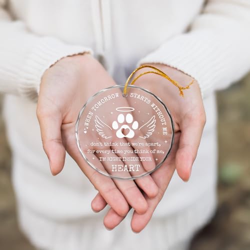 Pet Memorial Plexiglass Ornament 3x3 in | Keepsake Christmas Gift for Dogs & Cats