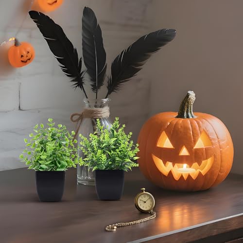 2 Pack Small Artificial Potted Plants for Home and Office Decor