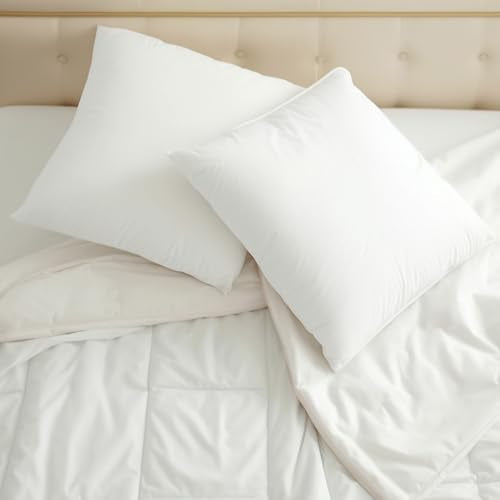 OKBA 22x22 Throw Pillow Inserts Set of 2, 100% Cotton Cover White Decorative